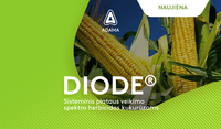 Diode
